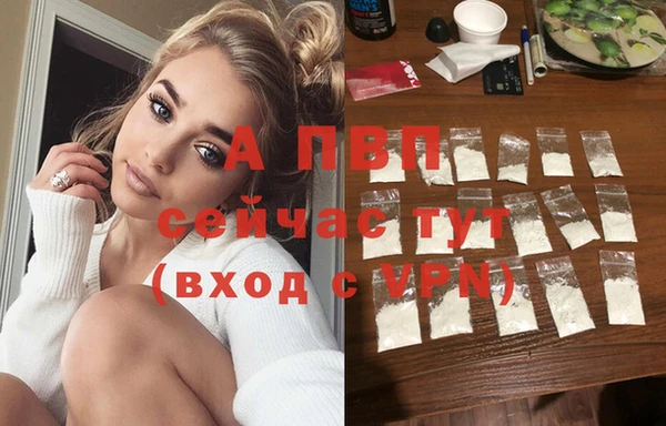 гидра Белокуриха